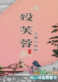 殁芙蓉武侠np