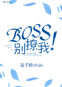 Boss别撩我