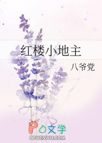 红楼小庄小说