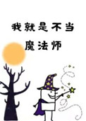 我就是不当魔法师晋江