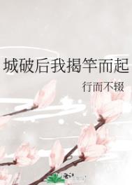 城破后我揭竿而起作者:行而不辍