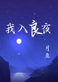 我入良夜强取豪夺