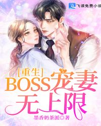 重生BOSS宠妻无上限