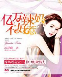 亿万辣妈不好惹epub