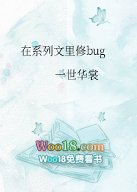 在系列文里修bug宝书