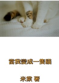 当我变成一只猫1500作文