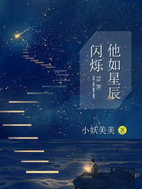 小说他如星辰闪烁txt