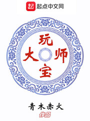 玩宝大师有声小说