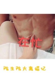 陈生陈太离婚记小说免费