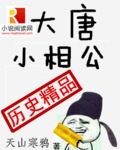 大唐小相公有声小说在线收听