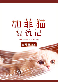 加菲猫复仇记番外txt网盘