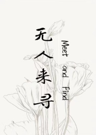 无人来寻小说txt