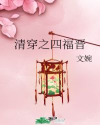 清穿之四福晋 作者:文婉