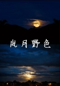 岚月夜的小说