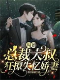 闪婚,总裁大叔狂撩失忆娇妻