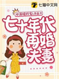 七十年代二婚女配